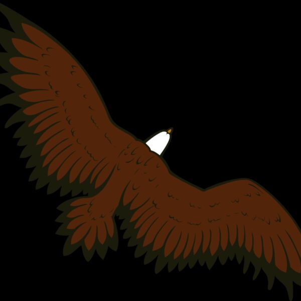 eagle16v4clr Thumbnail