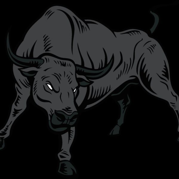 bull11v4clr Thumbnail