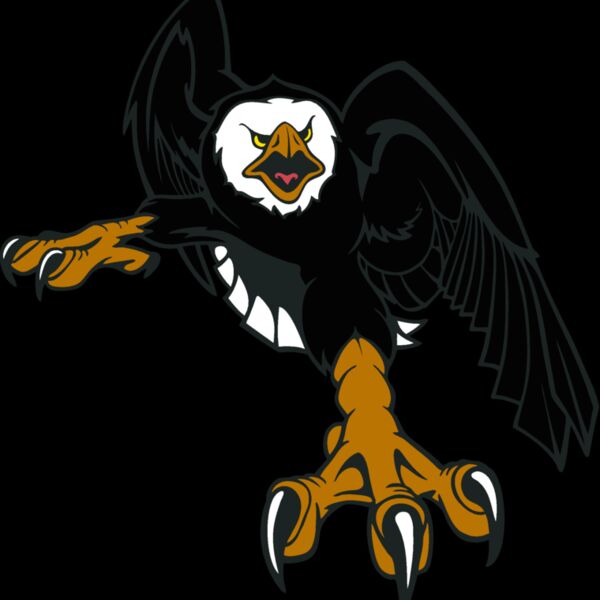 eagle08v4clr Thumbnail