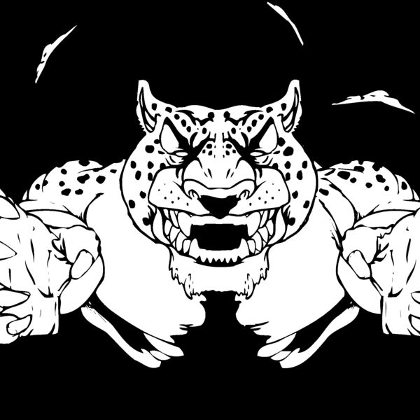 cheetah jaguar leopard breaking out Thumbnail