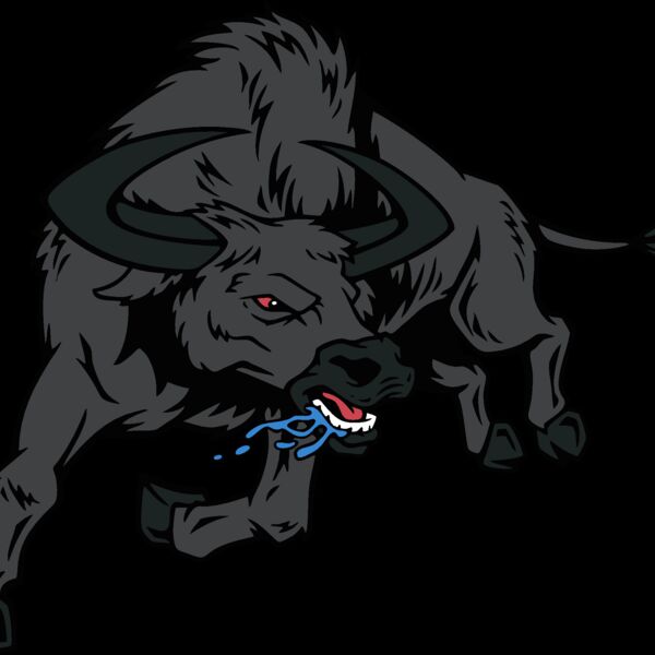 bull03v4clr Thumbnail