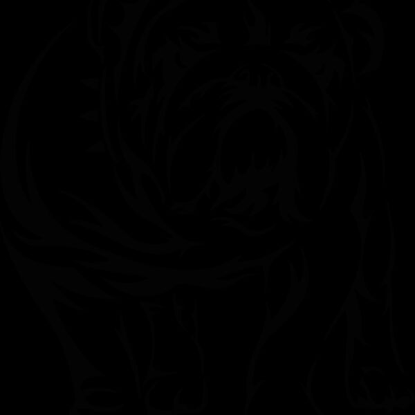 bulldogtrib Thumbnail
