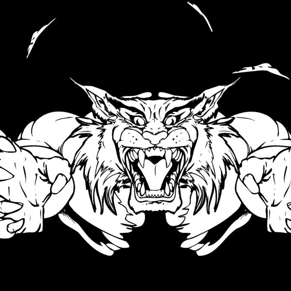 bobcat wildcat busting out Thumbnail