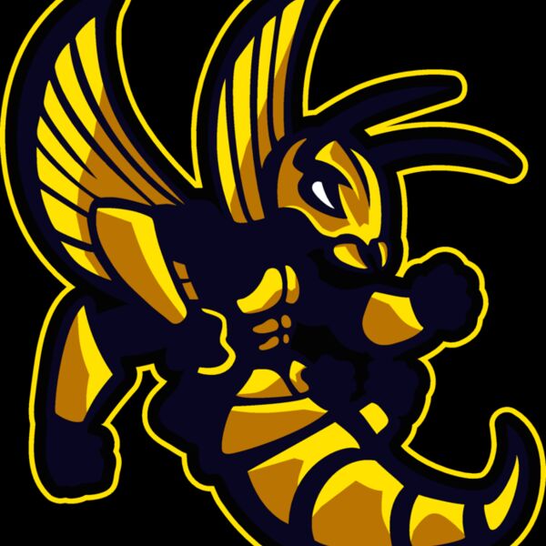 hornets011 Thumbnail