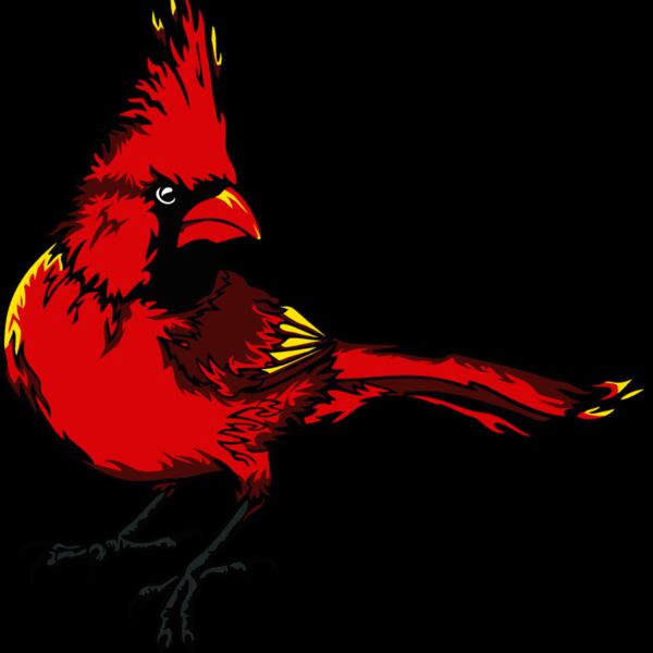 cardinalm08 Thumbnail