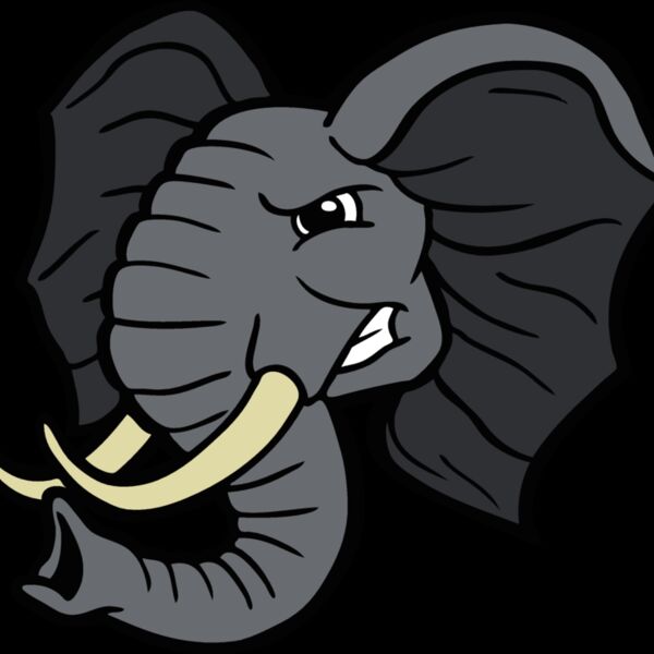 elephanthead14 Thumbnail