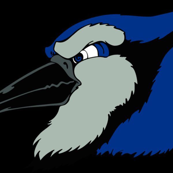 bluejay23 Thumbnail