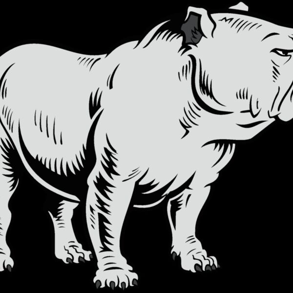 bulldog18v4clr Thumbnail