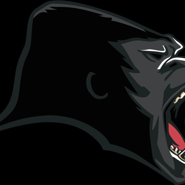 gorilla 24 Thumbnail