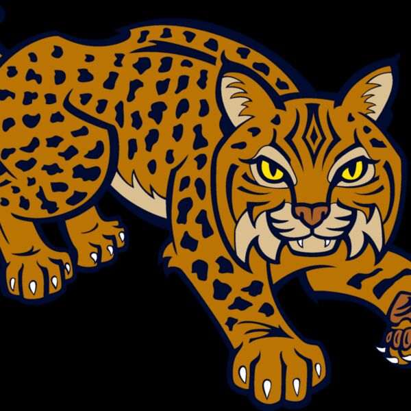 wildcat10v4clr Thumbnail