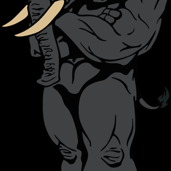 elephant04 Thumbnail