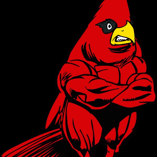 cardinalmn2 Thumbnail