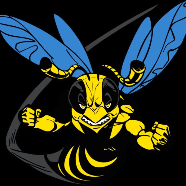 yellwjacket1 Thumbnail