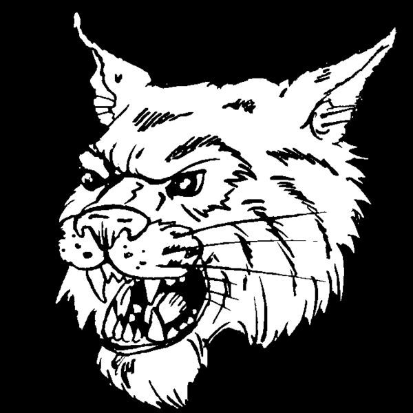 wildcathead04 Thumbnail