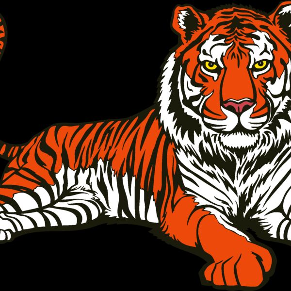 tiger06v4clr Thumbnail