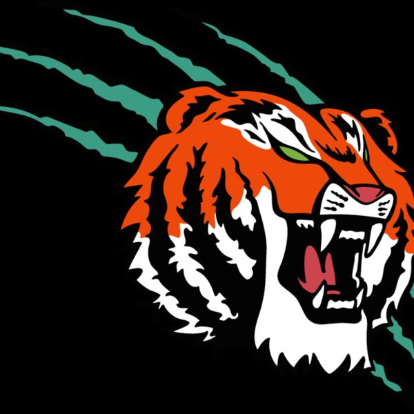 tiger07v4clr Thumbnail