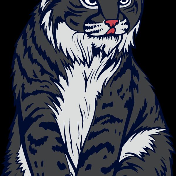 wildcat07v4clr Thumbnail