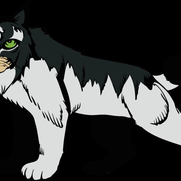 wildcat15v4clr png Thumbnail