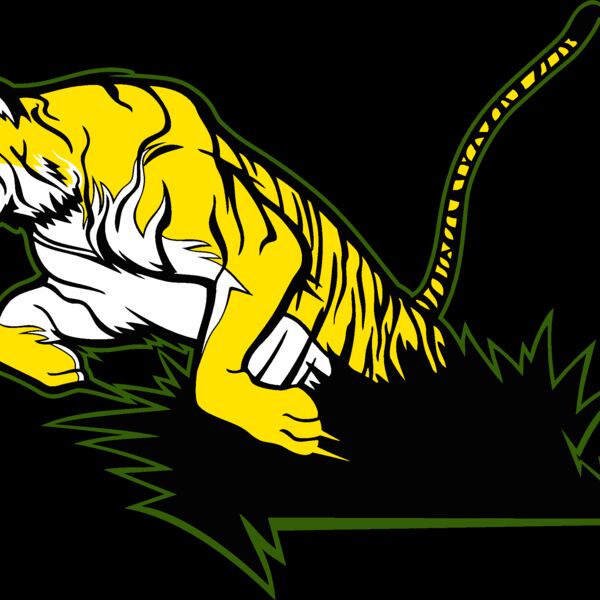 tiger16v4clr Thumbnail