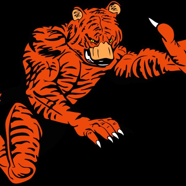 tigermsct02 Thumbnail