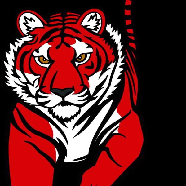 tiger10v4clr Thumbnail