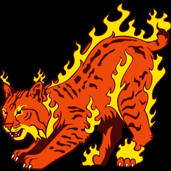 wildcatflm01 Thumbnail