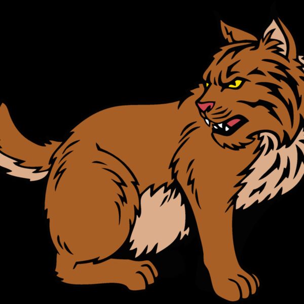 wildcatjk14 Thumbnail