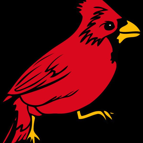 illinois cardinal 1 Thumbnail