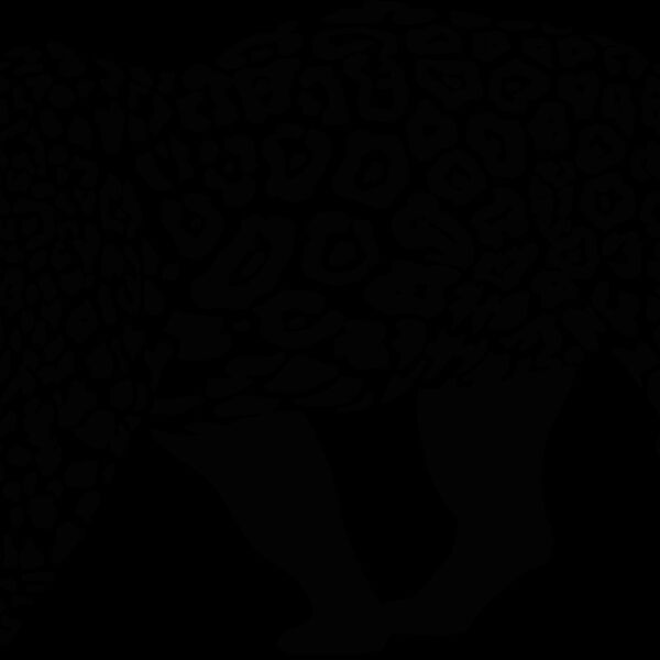 africaleopard1 Thumbnail