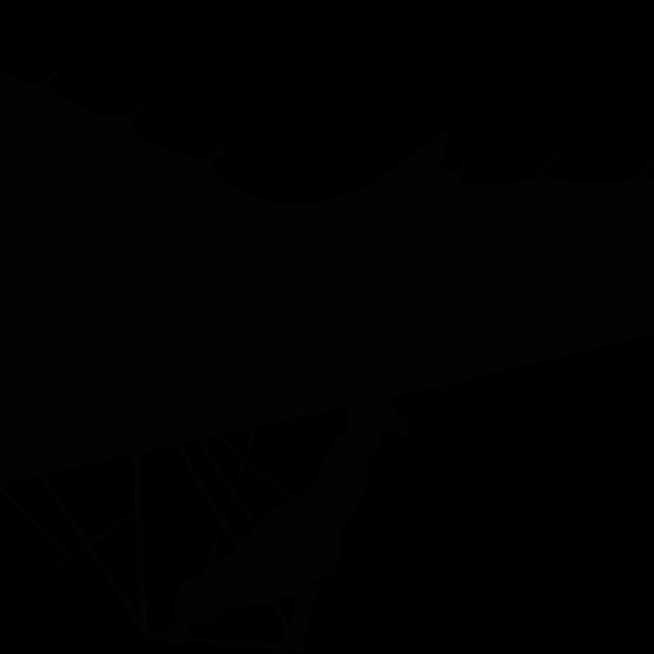 hang glide 01 Thumbnail