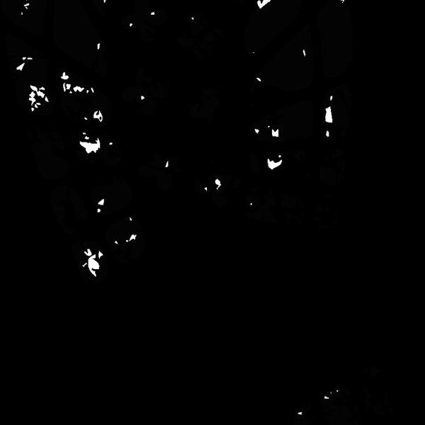 bootprint1 Thumbnail