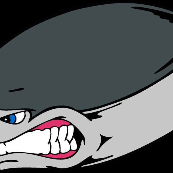 badhockeypuck Thumbnail