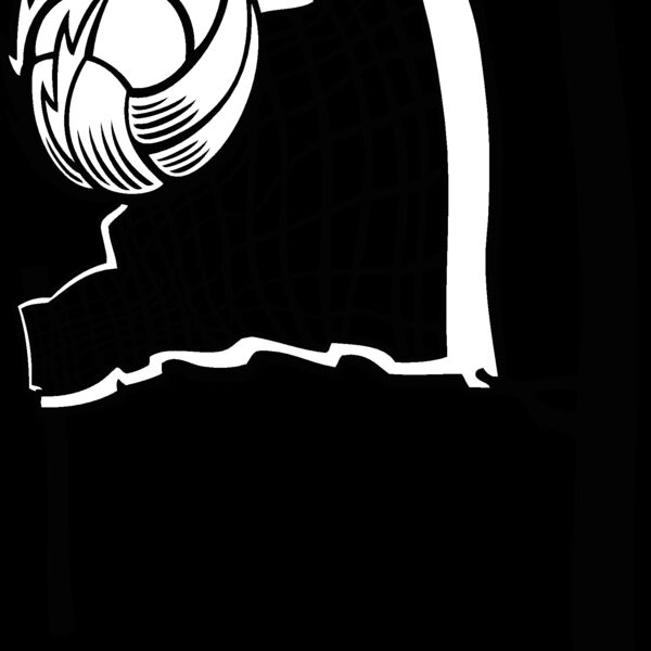 vllyball09v4bw Thumbnail