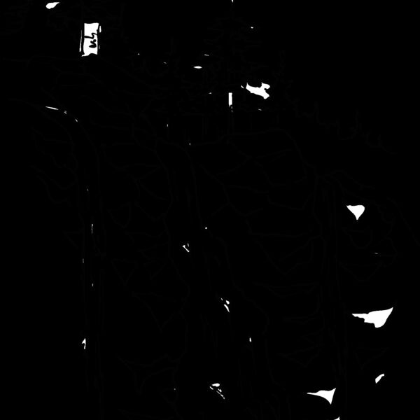 outdoors 3 Thumbnail